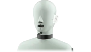 Anwit