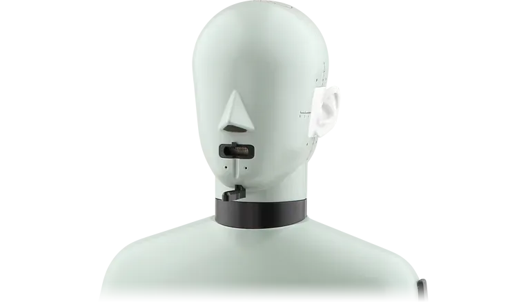 Anwit